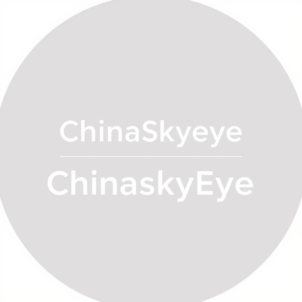 Chinaskyeye professional consulting services logo with modern design elements